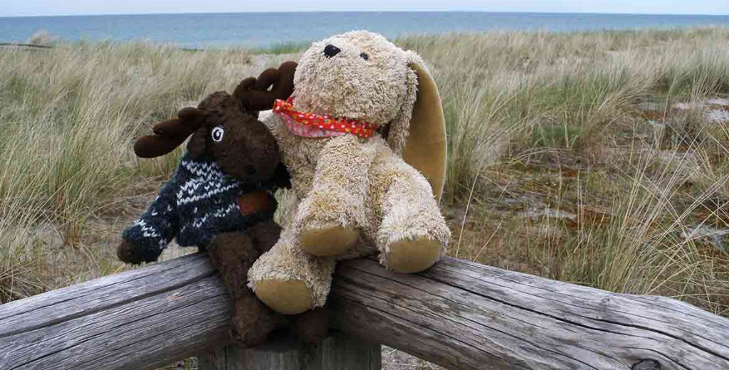 Kuscheltiere Am Meer